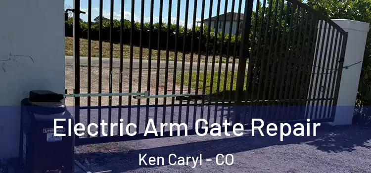 Electric Arm Gate Repair Ken Caryl - CO